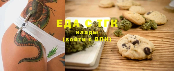 хмурый Гусь-Хрустальный