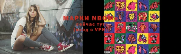 хмурый Гусь-Хрустальный