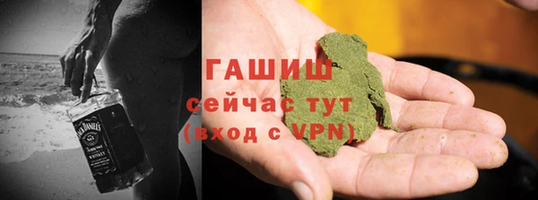 хмурый Гусь-Хрустальный