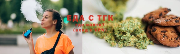 хмурый Гусь-Хрустальный