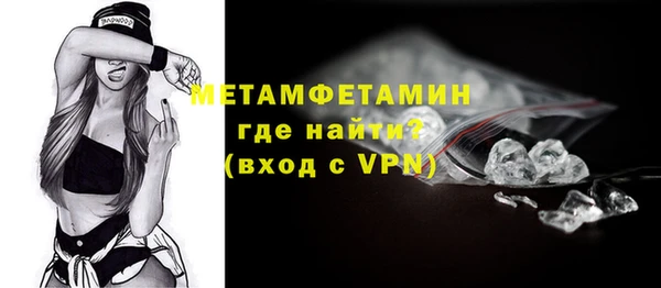 хмурый Гусь-Хрустальный