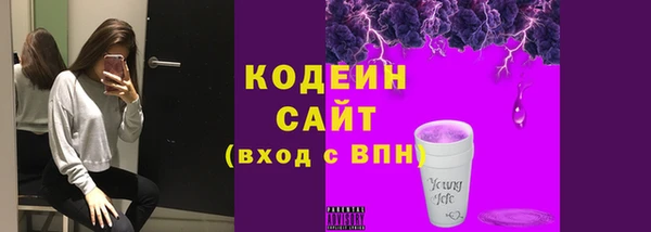 хмурый Гусь-Хрустальный