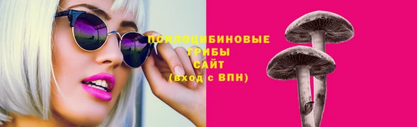кокс Гусев