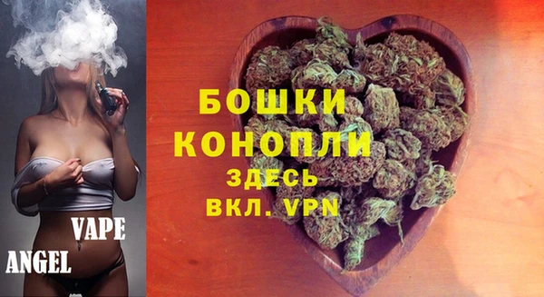 хмурый Гусь-Хрустальный