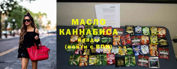 хмурый Гусь-Хрустальный