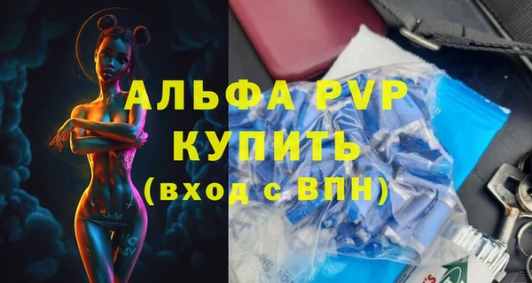 хмурый Гусь-Хрустальный