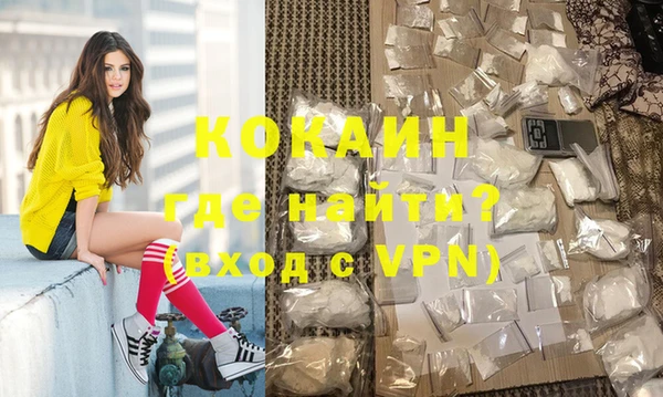 хмурый Гусь-Хрустальный