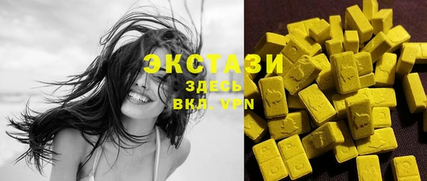 хмурый Гусь-Хрустальный