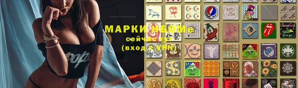кокс Гусев