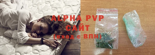 хмурый Гусь-Хрустальный