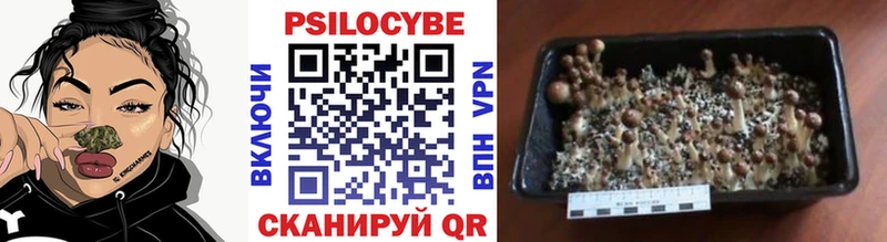 Галлюциногенные грибы ЛСД Ладушкин