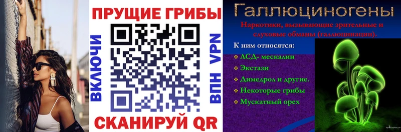 Купить  Ладушкин  Галлюциногенные грибы Psilocybine cubensis 